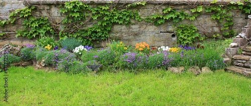 Parterre de fleurs jaune violette rouge verte blanche orange