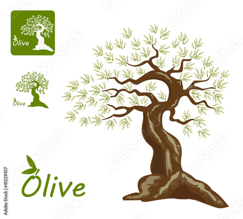Olive tree