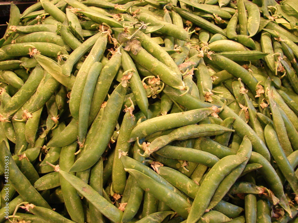 haricot vert haricot vert