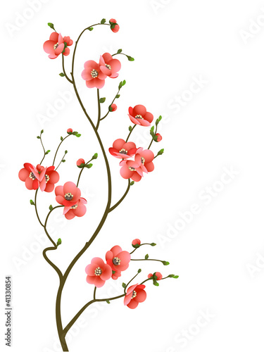 cherry blossom branch abstract background