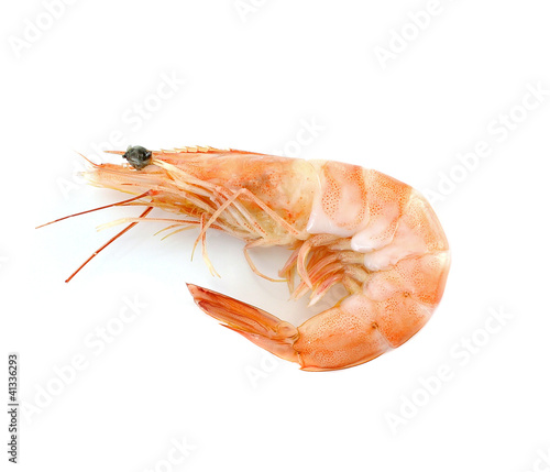 shrimps on a white background