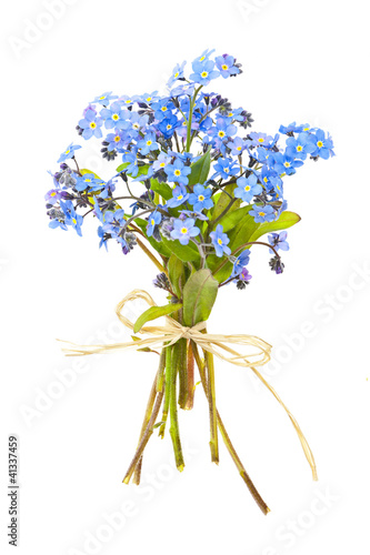 Fototapeta Naklejka Na Ścianę i Meble -  Bouquet of forget-me-nots