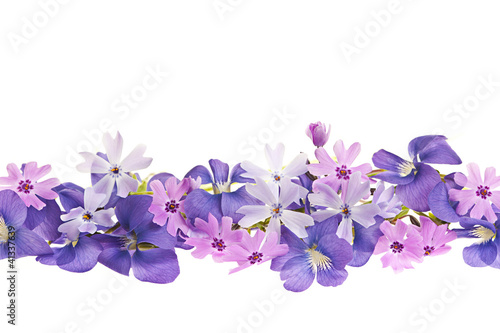 Purple spring flower border