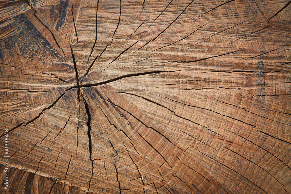 Fototapeta premium an image of high quality wooden background