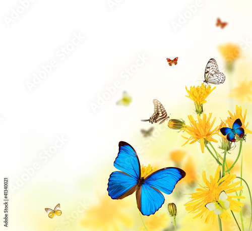 Beautiful flower background with exotic butterflies © Jag_cz