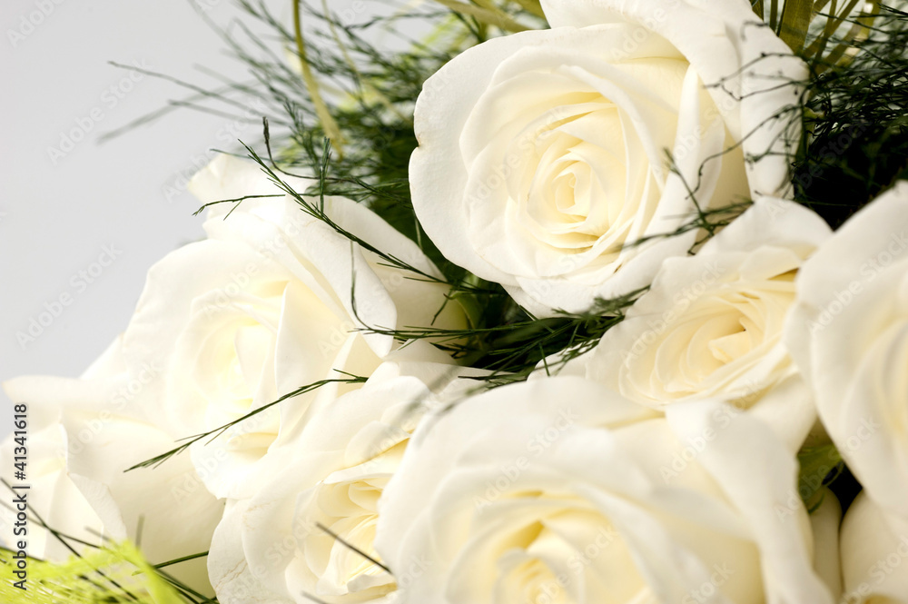 Obraz premium rose particolare per te