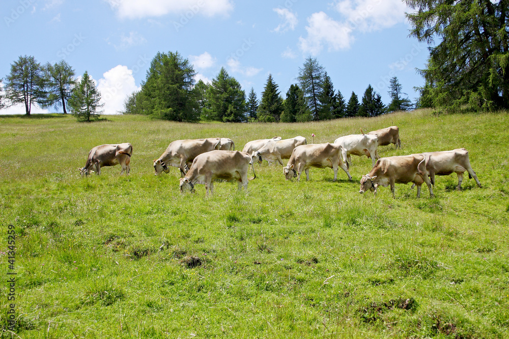 Italien - Südtirol