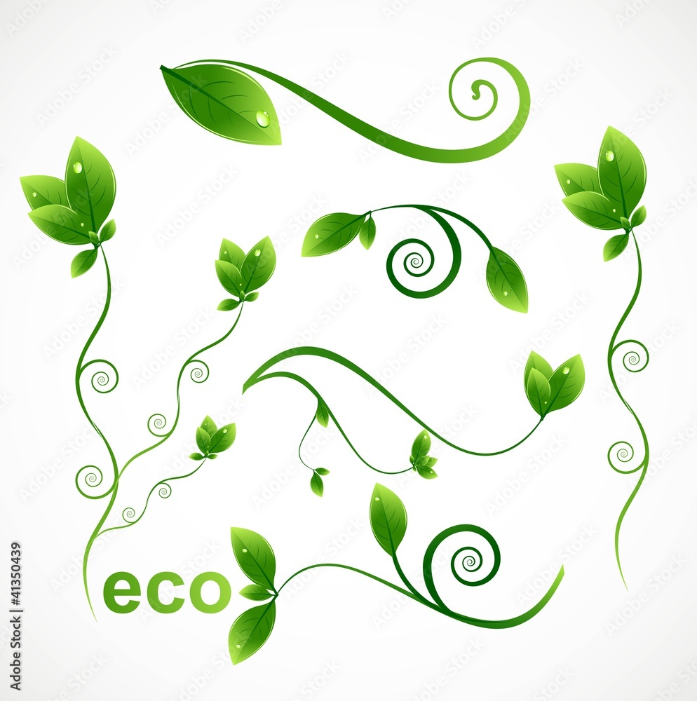 abstract Set of floral elements leaf for design vector abstract Set of floral elements leaf for design vector
