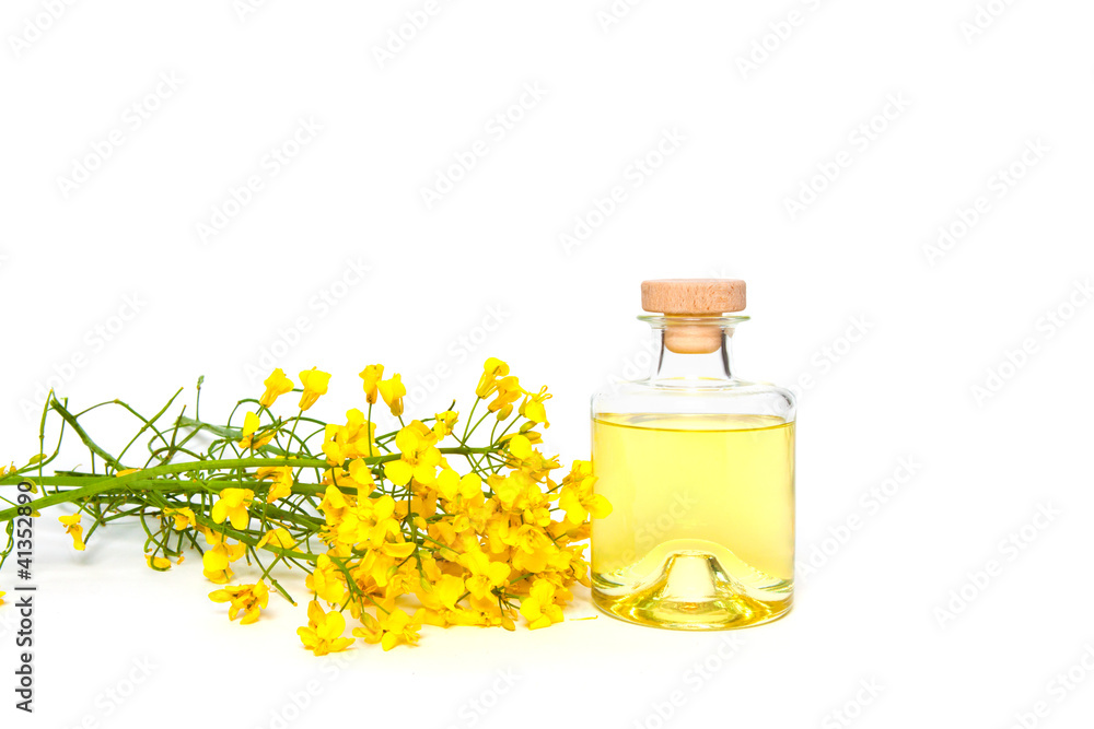 Fresh canola oil Fresh canola oil