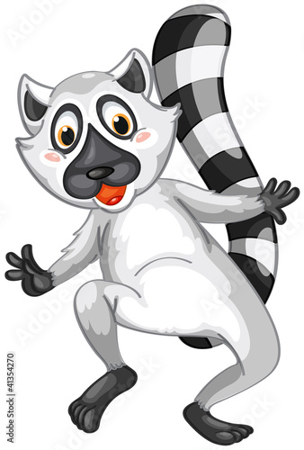 Mr Lemur