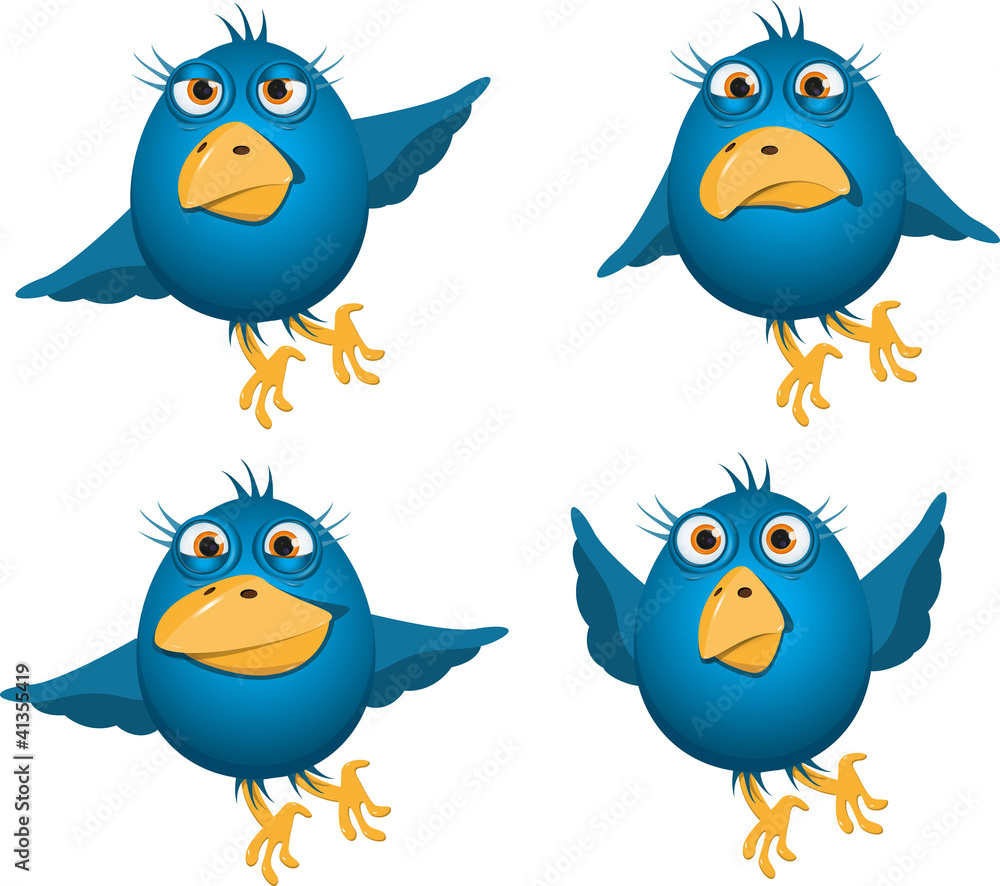 blue birds blue birds