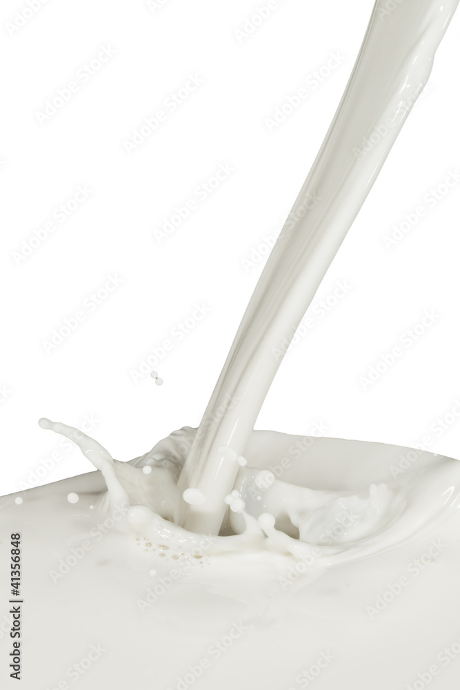milk splash milk splash