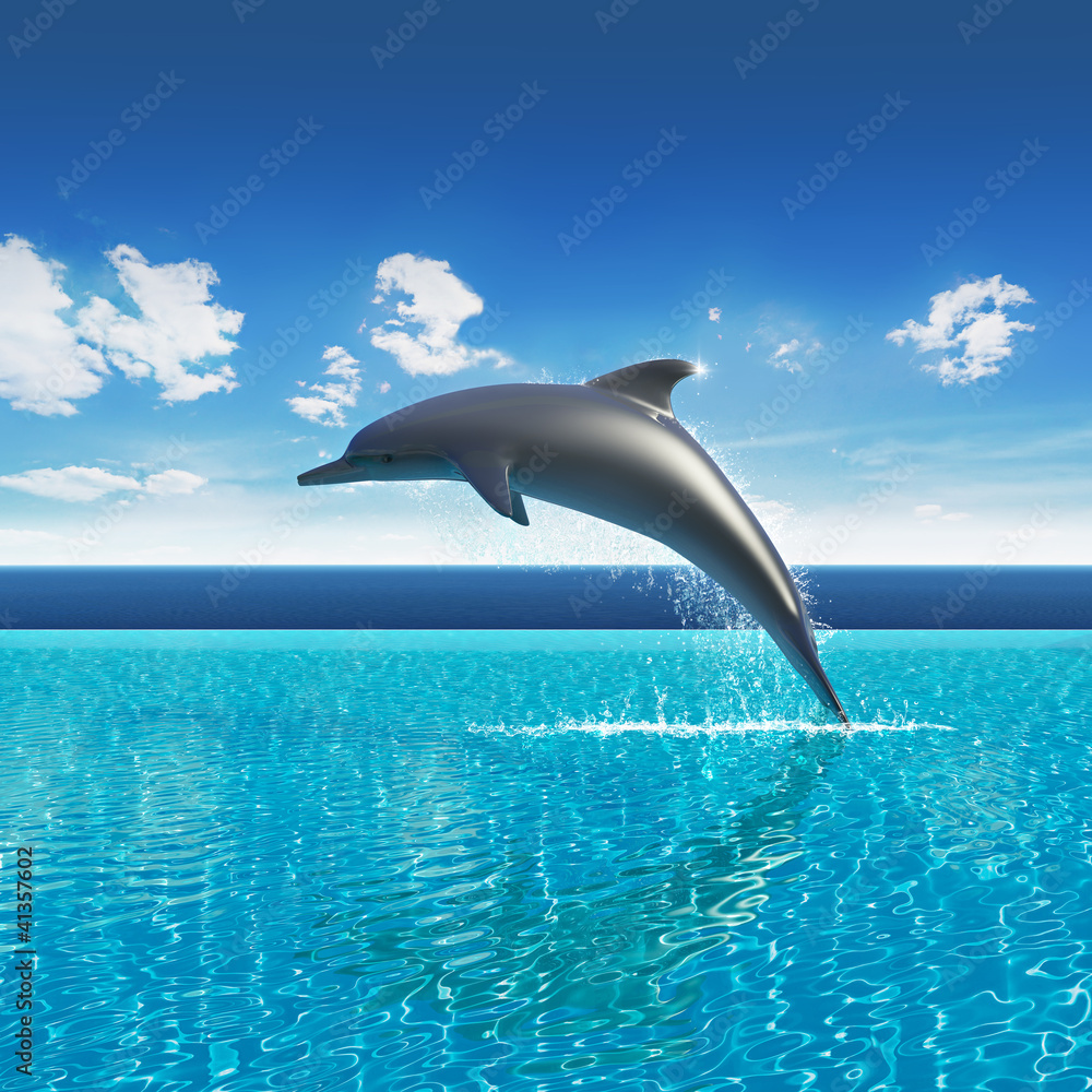 Fototapeta premium Dolphin jumps above pool water, summer sky aquarium