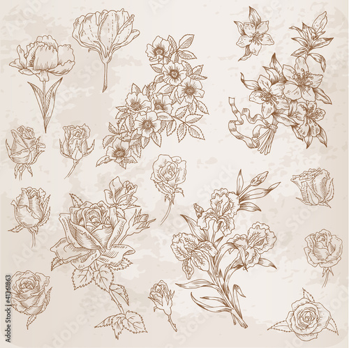 Detailed Hand Drawn Flowers - for scrapbook and design in vector