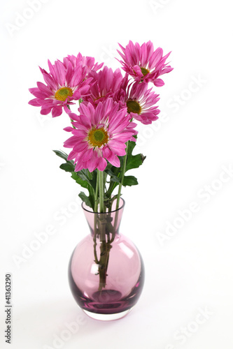 Fototapeta Naklejka Na Ścianę i Meble -  Chrysanthemen