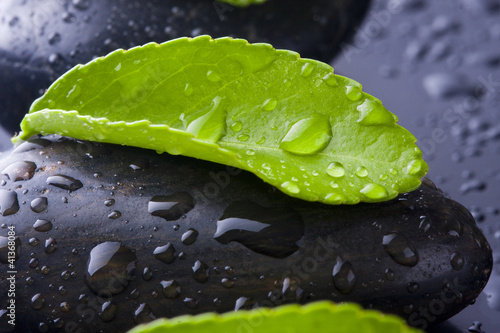 hojas verdes sobre piedras negas con agua photo