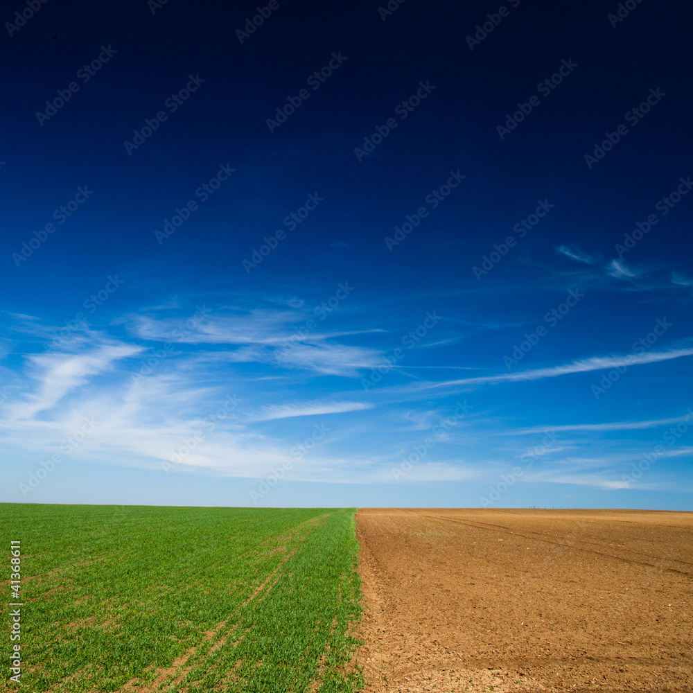 Obraz premium a seeded field and a field lying fallow