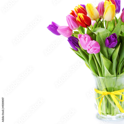 Fototapeta Naklejka Na Ścianę i Meble -  fresh tulips