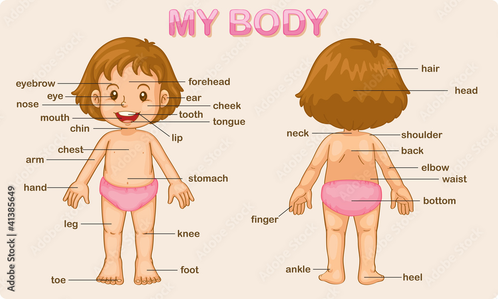 Naklejka premium my body