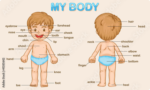 my body