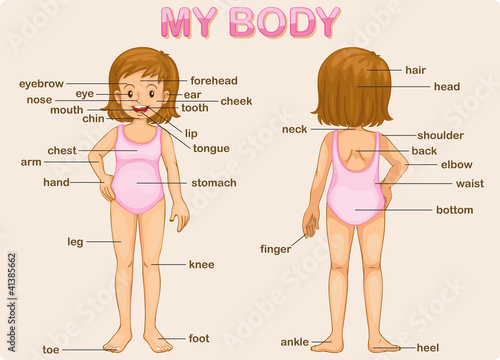 my body