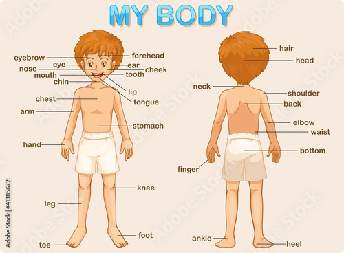 my body