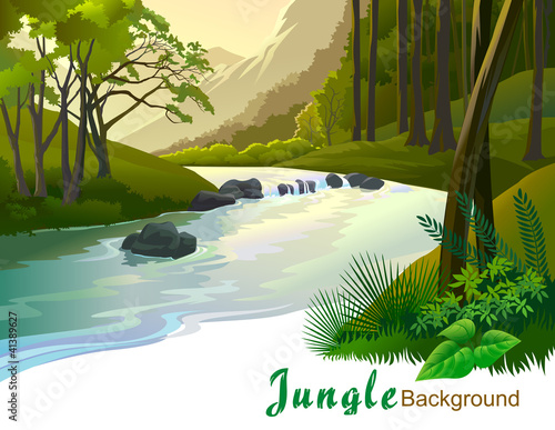 TROPICAL JUNGLE TREES AND FRESH WATER STREAM
