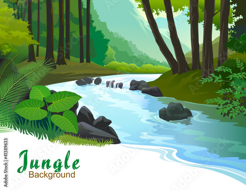 TROPICAL JUNGLE TREES AND FRESH WATER STREAM