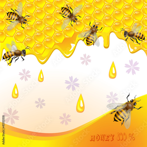 Floral background with honey and bees