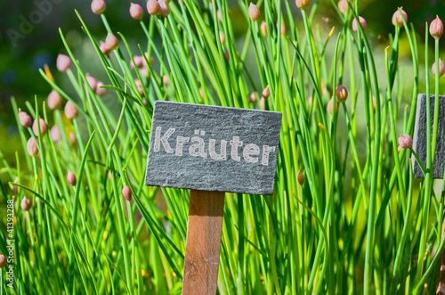 Kräuter Schnittlauch Schild photo