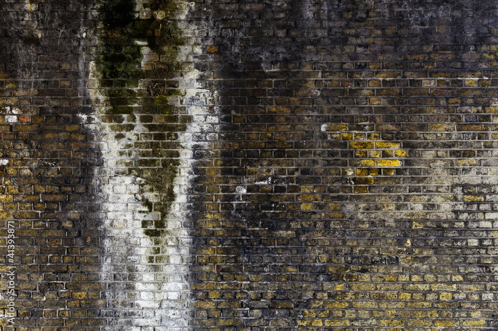 Naklejka premium Grunge brick wall