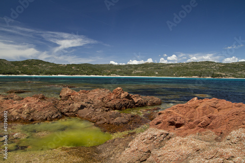 cote et littoral corse (la rondinara region de porto vecchio) photo