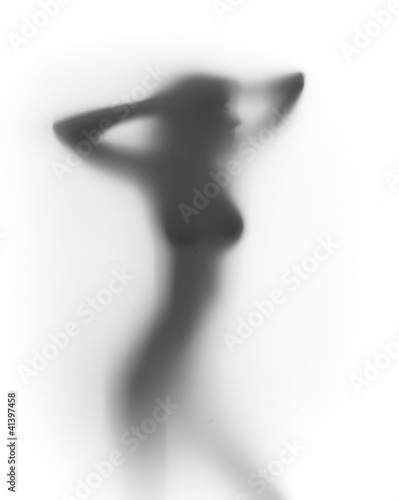 Obraz na płótnie Seksowna kobieta  - kontur sylwetki