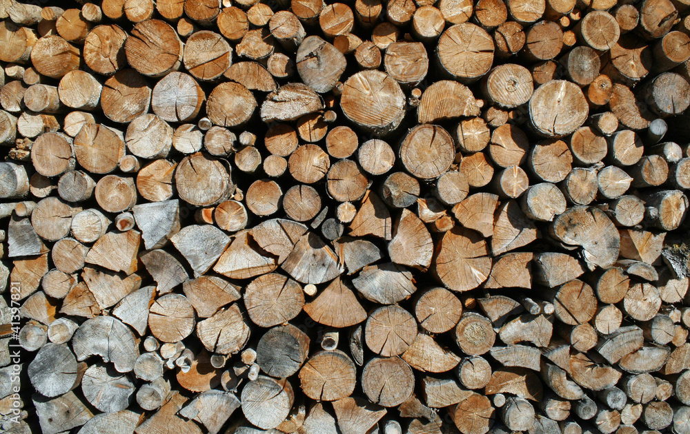 cut tree trunks forming a huge outdoor Woodshed cut tree trunks forming a huge outdoor Woodshed
