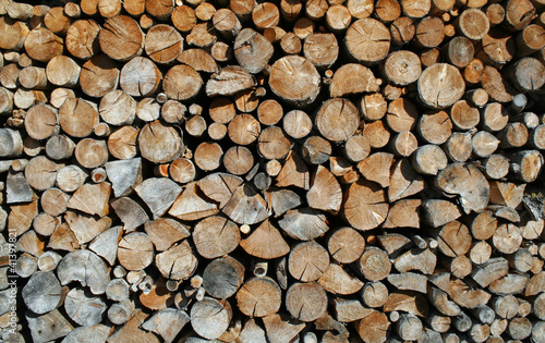 cut tree trunks forming a huge outdoor Woodshed