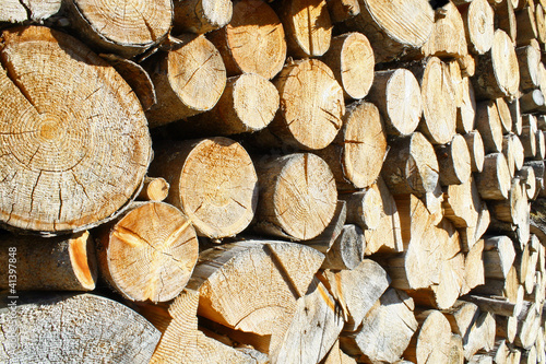 logs cut a huge outdoor summer Woodshed