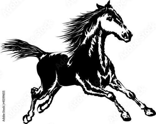Black horse