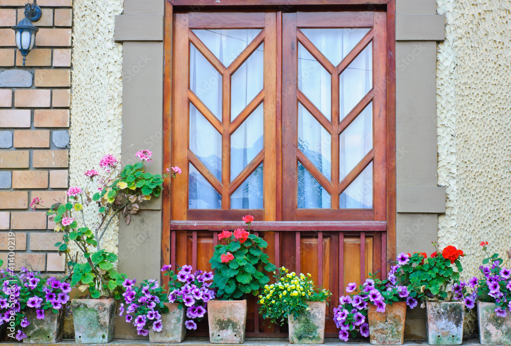 Window and colorful flowers