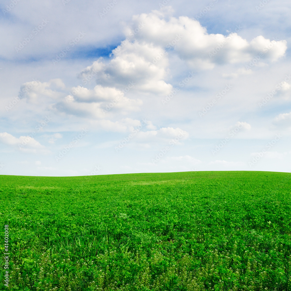 field and sky