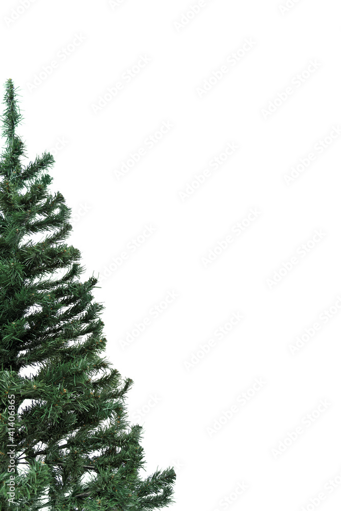 Fototapeta premium Christmas tree from left side