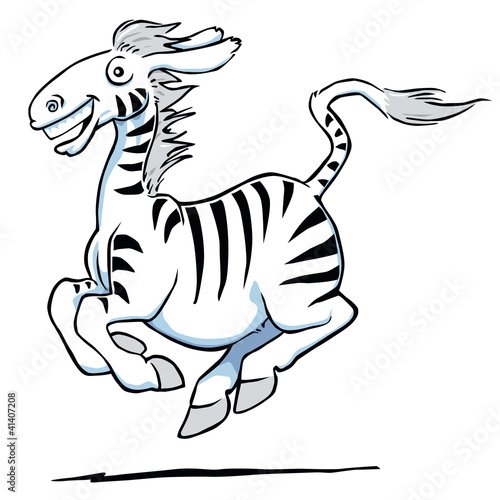 Zebra