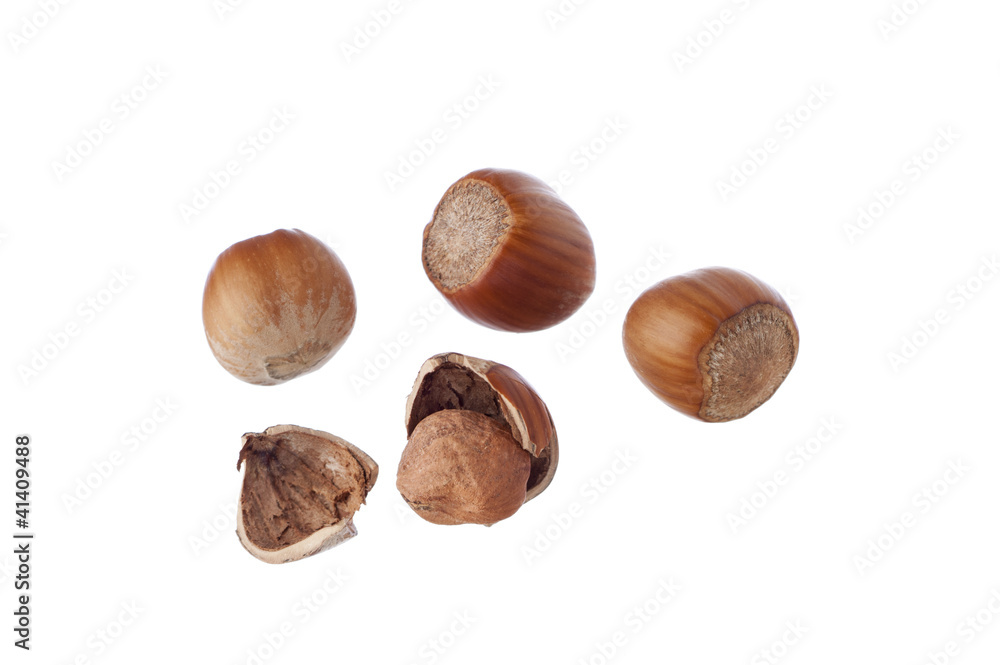 Closed and cracked hazelnuts isolated on white Closed and cracked hazelnuts isolated on white