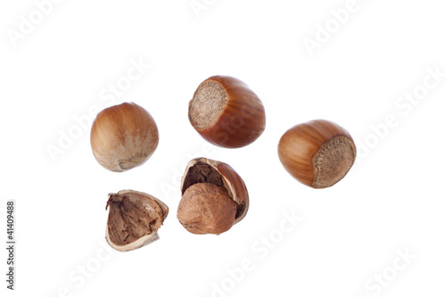 Wallpaper Mural Closed and cracked hazelnuts isolated on white Torontodigital.ca