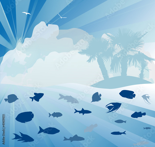 island and fishes in sea
