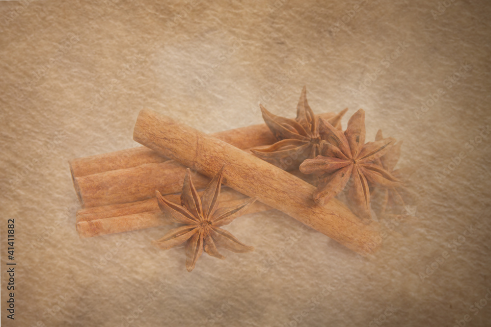 Fototapeta premium star anise and cinnamon