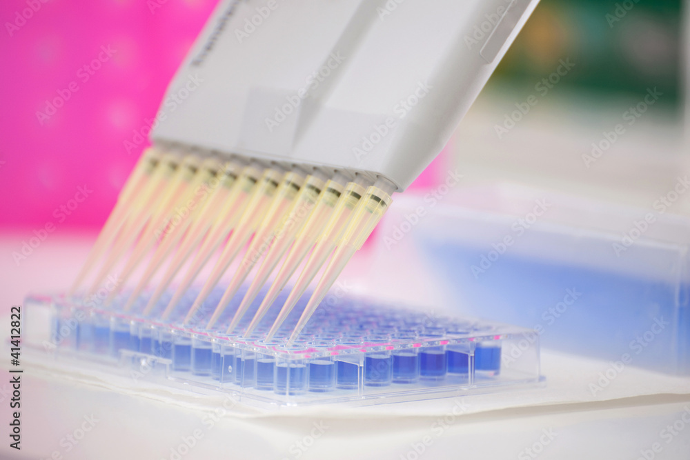 to make an analysis- laboratory to make an analysis- laboratory