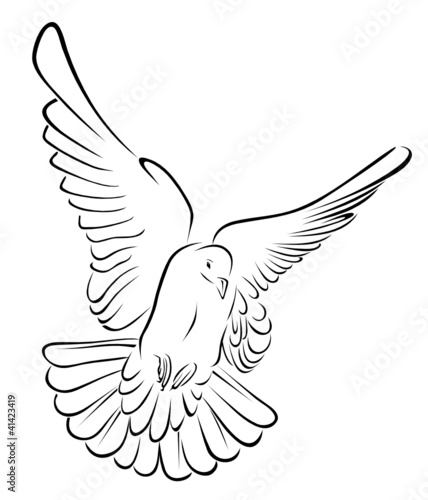 pigeon in brush stroke Vector Illustration