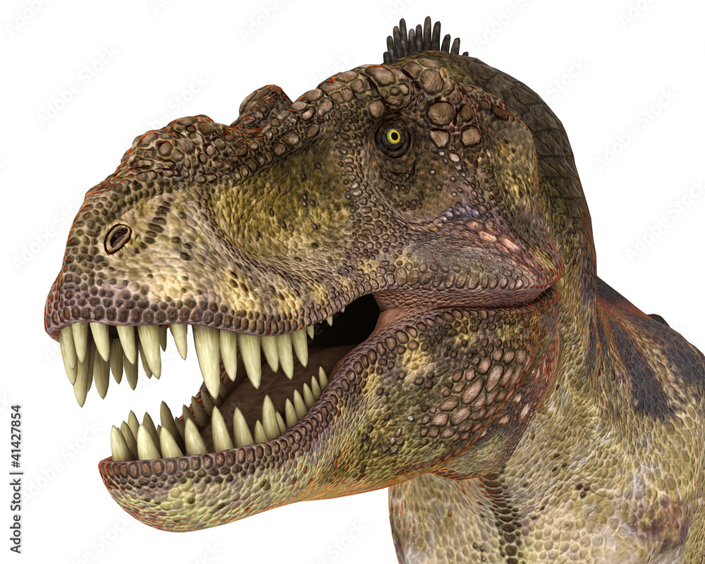 Obraz premium t rex staring