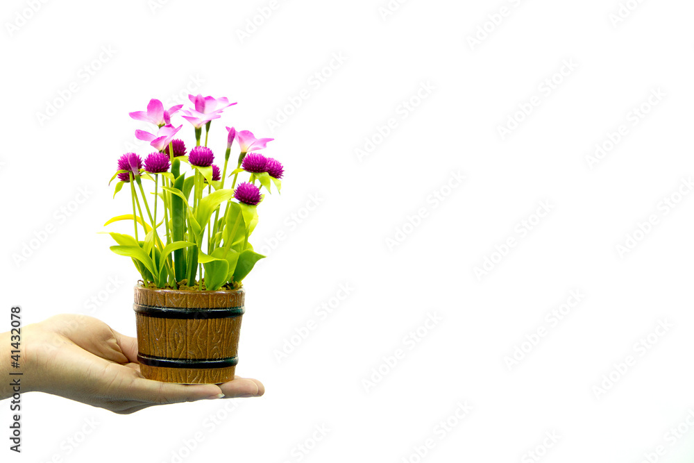 hand and flower hand and flower