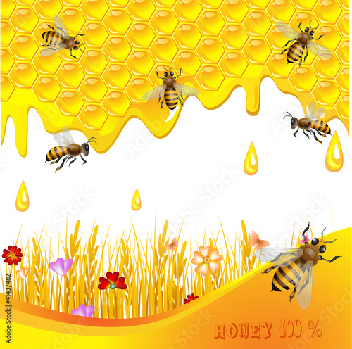 Floral background with honey and bees